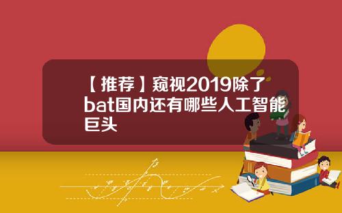 【推荐】窥视2019除了bat国内还有哪些人工智能巨头