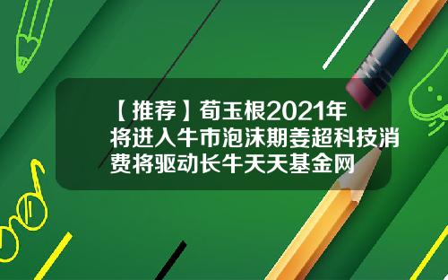 【推荐】荀玉根2021年将进入牛市泡沫期姜超科技消费将驱动长牛天天基金网