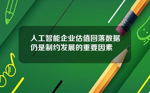人工智能企业估值回落数据仍是制约发展的重要因素