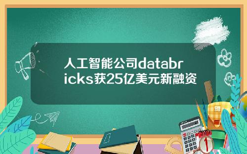 人工智能公司databricks获25亿美元新融资