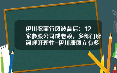 伊川农商行风波背后：12家参股公司成老赖，多部门辟谣呼吁理性-伊川康凤立有多少好车【新闻】.