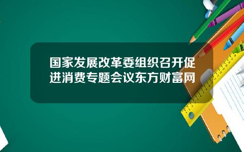 国家发展改革委组织召开促进消费专题会议东方财富网