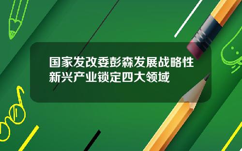 国家发改委彭森发展战略性新兴产业锁定四大领域