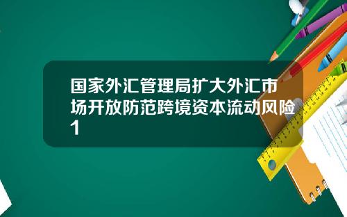 国家外汇管理局扩大外汇市场开放防范跨境资本流动风险1