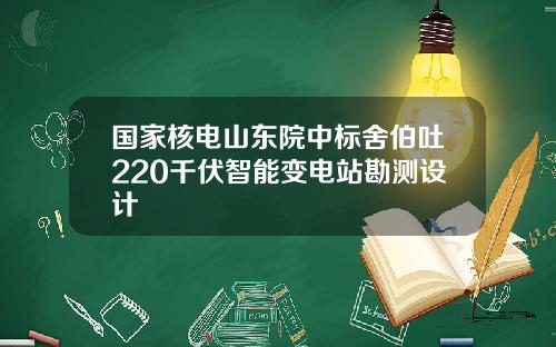 国家核电山东院中标舍伯吐220千伏智能变电站勘测设计