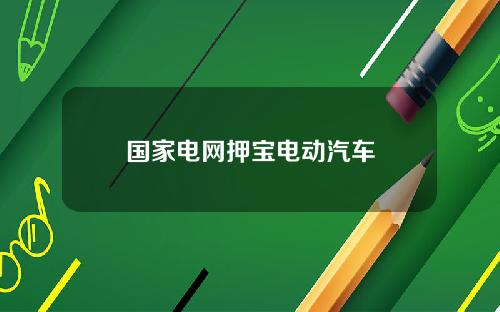 国家电网押宝电动汽车