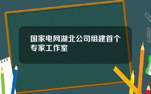 国家电网湖北公司组建首个专家工作室