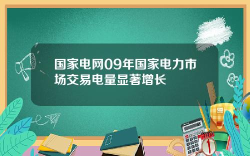 国家电网09年国家电力市场交易电量显著增长