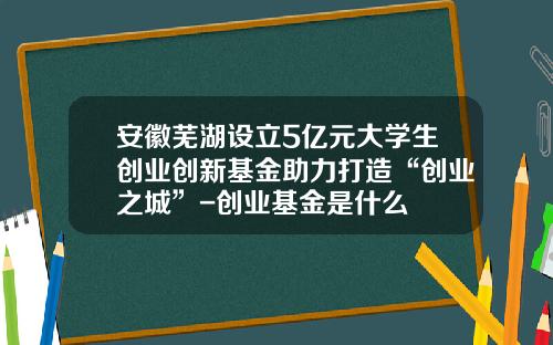 安徽芜湖设立5亿元大学生创业创新基金助力打造“创业之城”-创业基金是什么