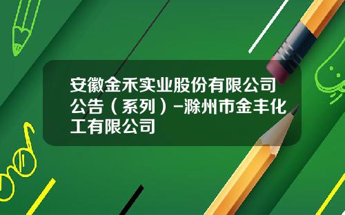 安徽金禾实业股份有限公司公告（系列）-滁州市金丰化工有限公司