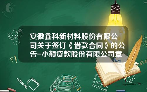 安徽鑫科新材料股份有限公司关于签订《借款合同》的公告-小额贷款股份有限公司章程