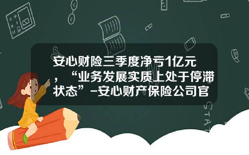 安心财险三季度净亏1亿元，“业务发展实质上处于停滞状态”-安心财产保险公司官网