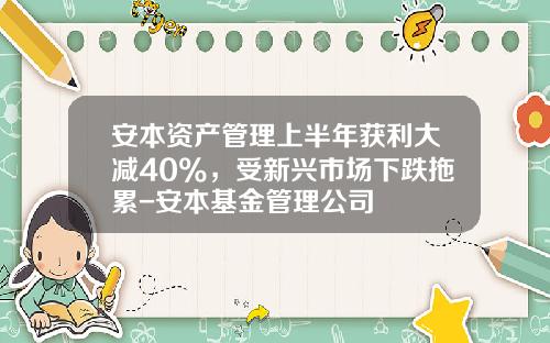 安本资产管理上半年获利大减40%，受新兴市场下跌拖累-安本基金管理公司