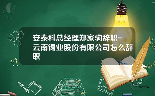 安泰科总经理郑家驹辞职-云南锡业股份有限公司怎么辞职