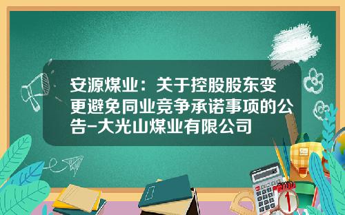 安源煤业：关于控股股东变更避免同业竞争承诺事项的公告-大光山煤业有限公司
