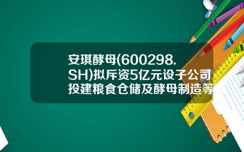 安琪酵母(600298.SH)拟斥资5亿元设子公司投建粮食仓储及酵母制造等项目-成立仓储公司需要多少资金
