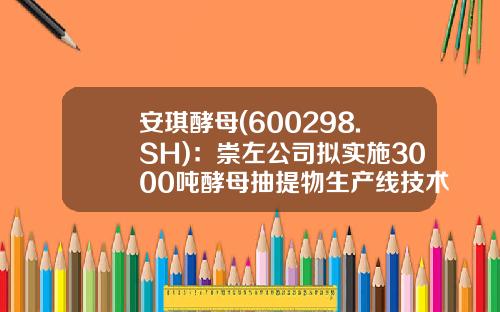 安琪酵母(600298.SH)：崇左公司拟实施3000吨酵母抽提物生产线技术改造项目-酵母生产线得多少钱