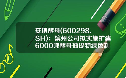 安琪酵母(600298.SH)：滨州公司拟实施扩建6000吨酵母抽提物绿色制造项目-滨州安琪酵母有限公司