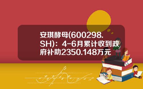 安琪酵母(600298.SH)：4-6月累计收到政府补助2350.148万元-安琪酵母股份有限公司财务报表2012年