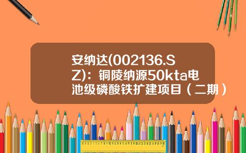 安纳达(002136.SZ)：铜陵纳源50kta电池级磷酸铁扩建项目（二期）建成投产-纳米磷酸电池多少钱