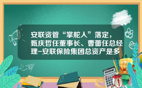 安联资管“掌舵人”落定，甄庆哲任董事长、曹蕾任总经理-安联保险集团总资产是多少