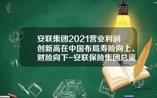 安联集团2021营业利润创新高在中国布局寿险向上、财险向下-安联保险集团总资产是多少