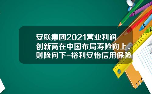安联集团2021营业利润创新高在中国布局寿险向上、财险向下-裕利安怡信用保险公司