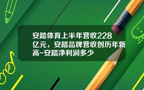 安踏体育上半年营收228亿元，安踏品牌营收创历年新高-安踏净利润多少
