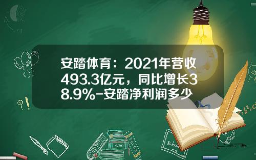 安踏体育：2021年营收493.3亿元，同比增长38.9%-安踏净利润多少