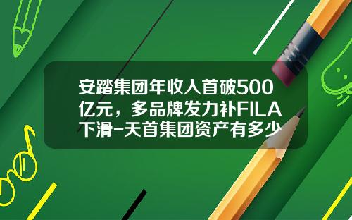 安踏集团年收入首破500亿元，多品牌发力补FILA下滑-天首集团资产有多少