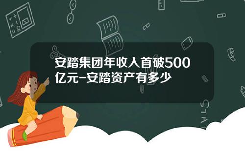 安踏集团年收入首破500亿元-安踏资产有多少