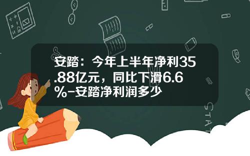 安踏：今年上半年净利35.88亿元，同比下滑6.6%-安踏净利润多少
