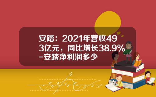 安踏：2021年营收493亿元，同比增长38.9%-安踏净利润多少