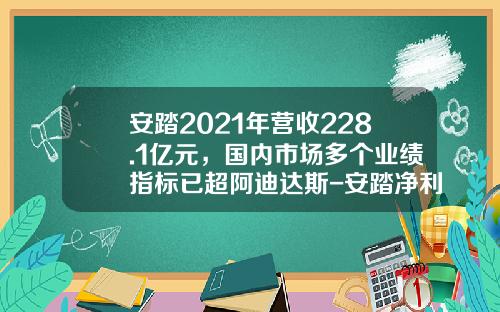 安踏2021年营收228.1亿元，国内市场多个业绩指标已超阿迪达斯-安踏净利润多少