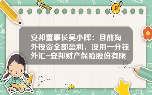 安邦董事长吴小晖：目前海外投资全部盈利，没用一分钱外汇-安邦财产保险股份有限公司董事长