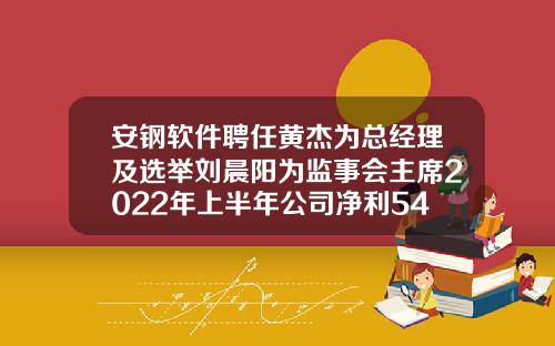 安钢软件聘任黄杰为总经理及选举刘晨阳为监事会主席2022年上半年公司净利541.89万-上市公司监事会主席