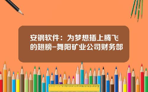 安钢软件：为梦想插上腾飞的翅膀-舞阳矿业公司财务部