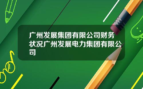 广州发展集团有限公司财务状况广州发展电力集团有限公司