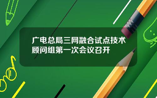 广电总局三网融合试点技术顾问组第一次会议召开