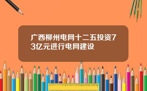 广西柳州电网十二五投资73亿元进行电网建设