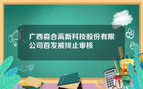 广西森合高新科技股份有限公司首发被终止审核