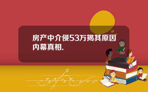 房产中介侵53万揭其原因内幕真相.
