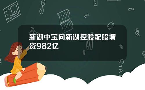 新湖中宝向新湖控股配股增资982亿
