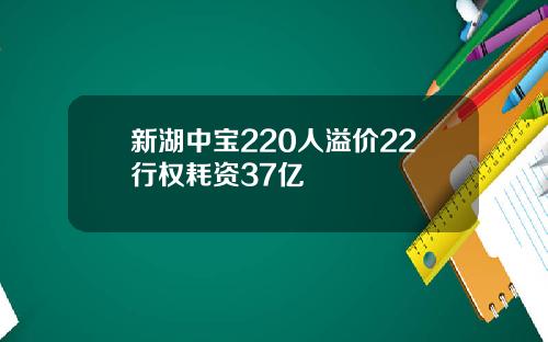 新湖中宝220人溢价22行权耗资37亿