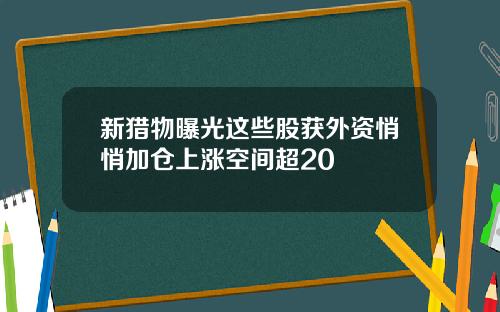 新猎物曝光这些股获外资悄悄加仓上涨空间超20