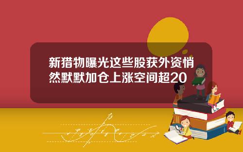 新猎物曝光这些股获外资悄然默默加仓上涨空间超20
