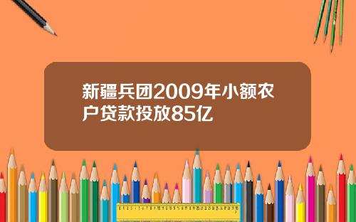 新疆兵团2009年小额农户贷款投放85亿