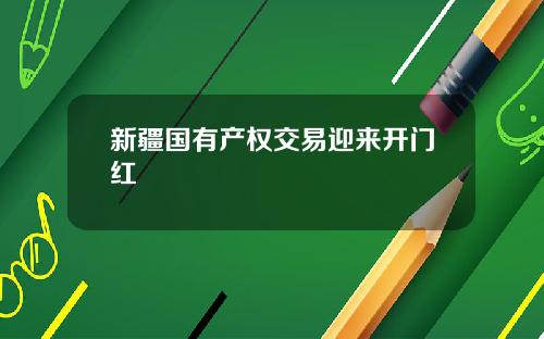 新疆国有产权交易迎来开门红
