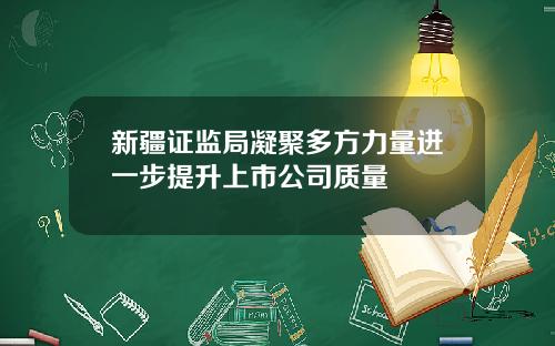 新疆证监局凝聚多方力量进一步提升上市公司质量
