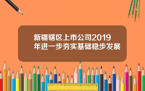 新疆辖区上市公司2019年进一步夯实基础稳步发展